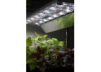 Alina Luminaires and Power System