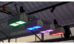 Rosa Luminaires