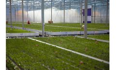 KG Systems Easy-Fix - User-friendly Self-assembly Fixed Grow Tables for Various Crops