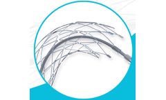 Model Neuroform EZ - Stent System
