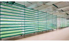 iFarm - Vertical Farming Technology for Leafy Greens