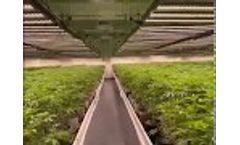 Flora Series LED Grow Light - Video