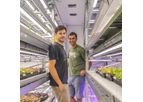 Strawberry Research Solution