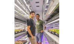 Strawberry Research Solution