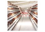 LIVI - Model A Type and H Type - Chicken Battery Layer Cages