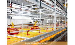 LIVI - Broiler Cages