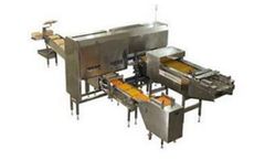 LIVI - Grading Packing System