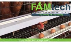 A Type Layer Cage - Video