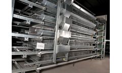 Model H Type - Layer Chicken Cage