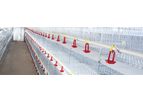 Model H Type - Broiler Cage