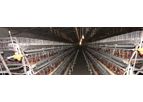 Model A Type  - Chicken Layer Cage
