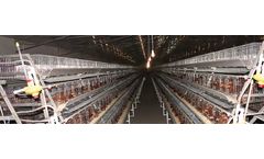 Model A Type  - Chicken Layer Cage