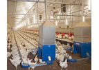Suspended Hen Chain Feeding System