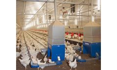 Suspended Hen Chain Feeding System