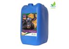 Model Calving Plus - Calving