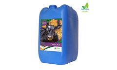Model Calving Plus - Calving