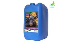 Model Calving Magnesium - Calving