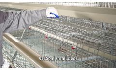 Hightop Layer Chicken Cage - Video