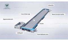 Fully Automatic Poultry Farm Equipment, Automated Poultry Battery Cage System - Video