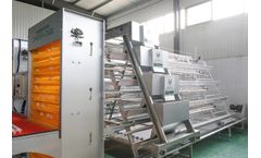Model A Type - Automatic Chicken Cage