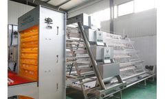Layer Chicken Cage