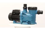 Swimming Pool Water Pump