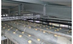 Bird-Free - Warehouses, Factories and Plant Pest Control Services