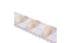 Webbing - Egg Collection Belt