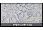 Model TempoATP - ATP Biosensor Assay