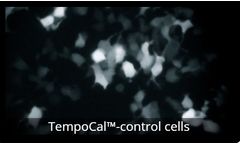 Model TempoCal - Calcium Biosensor Assay