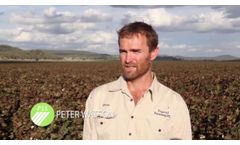 Peter Watson Boggabri, NSW - Video