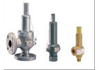 Anderson Greenwood Direct Spring Operated Pressure Relief Valves Series 60/80