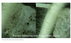 Model Premium - Polysulphate Fertilizer