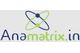 AnaMatrix.In
