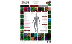 Cell Apps Poster Primary Cells