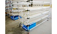 Hydroponic Microgreen Setup
