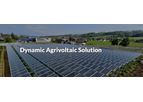 Agrivoltaic Solution