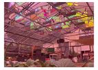 Innovative Solar Modules for Greenhouses