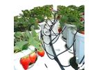 Arrow Drip Stakes Micro Irrigation
