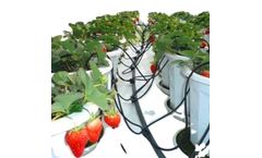 Arrow Drip Stakes Micro Irrigation