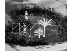 Model The Oasis - Fertile Urban Habitat for plants