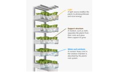 Aeroponics Vertical Farm