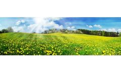 Biological Soil Remediation Services