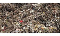Recycle The Paper Mill Waste in an Economical Way