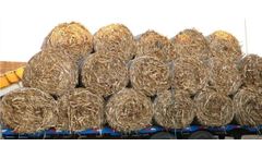 In Three Years, Biomass Fuel Will Be Cement & Coal Plants’ Must-Have 'New Coal'!"