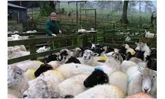 Inciner8 - Sheep & EWE Incinerators
