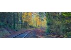 Arboriculture and Vegetation Management Services