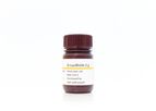 BioThema - D-Luciferin Potassium Salt