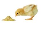 LGC - Model AFPS - Animal Feed