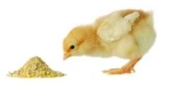 LGC - Model AFPS - Animal Feed